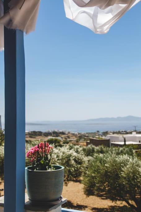 Dp Homes Paros Angairiá Extérieur photo
